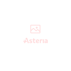 Plasters Teneris 8x15 N10