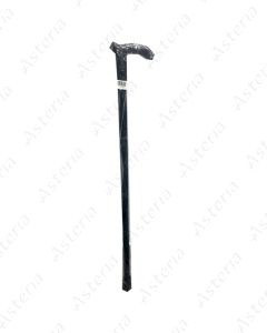 Walking stick